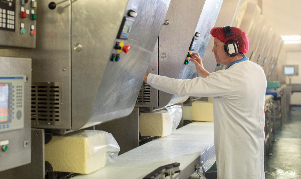 Carbery Cheese Production Operator